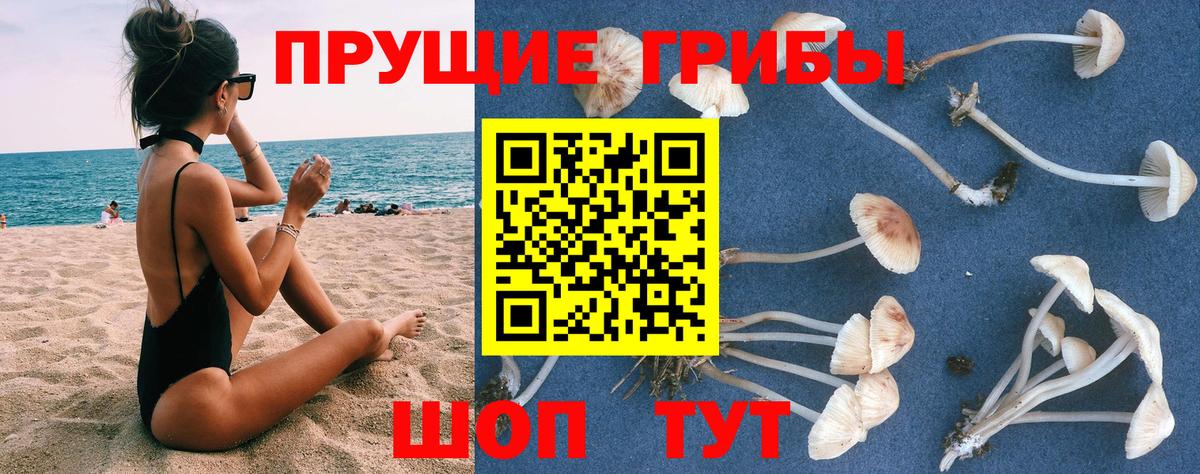 Галлюциногенные грибы мицелий  Псилоцибиновые грибы Psilocybine cubensis  Курчалой  наркошоп  Вход с VPN 